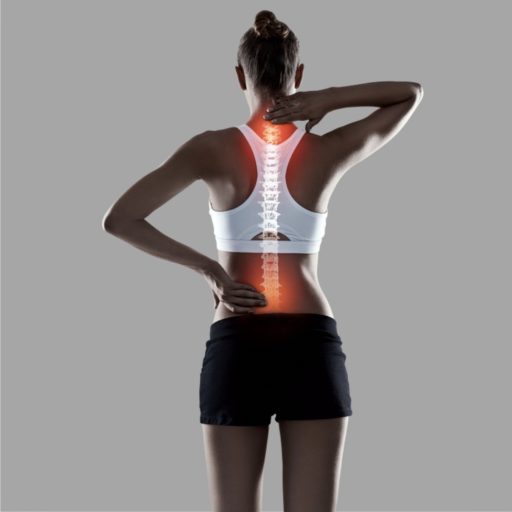 Spine Up